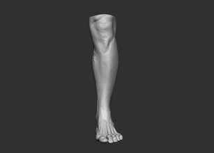 pés 3d modelo pé anatomia corpo cabeça basemesh pacote arte escultura esculpir personagem 3dprint masculino fêmea unha perna estátua ciência esculturas 3d print model - Mito3D