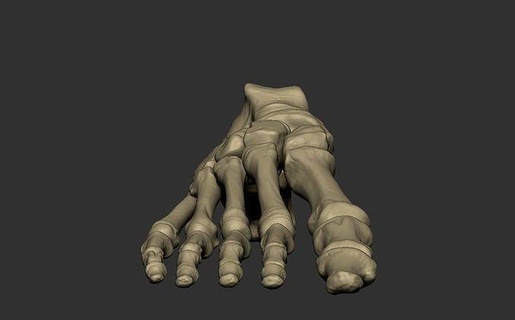 pieds squelette OS art anatomie sculpture homme Masculin fille animal grotte Jeu personnage dessin animé main statue sculptures 3d print model - Mito3D