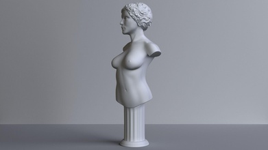 female bust fracasso of mulher educação desafio fêmea liquidificador humano anatomia corpo tronco abdômen arte esculturas 3d print model - Mito3D