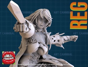 fêmea demônio amaldiçoado pirata assassino personagem estátua jrpg anime escultura figura mulher menina espada contos Corvo masmorras dragões miniatura 3d 3d print model - Mito3D