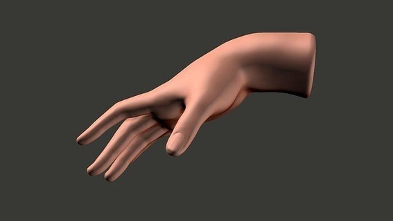 weiblich Hand 3d drucken Frau Anatomie Körper Charakter Finger Haut Kunst Skulpturen Anime Mädchen Venus klassisch Statue Deko Ring Dekor Innere 3d print model - Mito3D