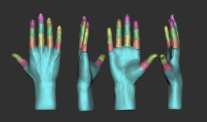 hembra mano pose anatomía imprimible cuerpo humano mujer Arte esculturas 3D print model - Mito3D