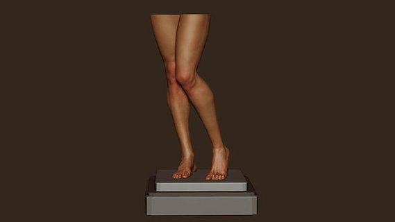 femelle jambes anatomie jambe pieds genou pied modèle personnage fille cheville corps femme Humain référence art sculptures 3d print model - Mito3D