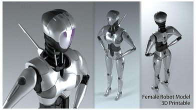 female robot 2 - fr02 futuristic girl miniature sci fi mechanical woman humanoid body metallic 3d printable hobby diy robotics fix 3d print model - Mito3D