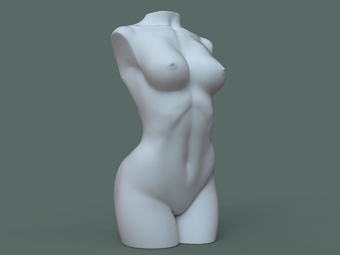 femmina torso umano corpo anatomia muscolare muscolatura donna tori arte candela sculture 3D print model - Mito3D