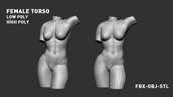 femmina torso 3 umano corpo anatomia muscolare muscolatura donna tori arte Basso poli stampabile sculture 3D print model - Mito3D