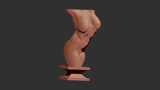 femmina torso 3d stampa personaggi carattere corpo anatomia ragazza donna figura scultura statua 3dprint stampabile zbrush scolpire arte sculture scienza 3D print model - Mito3D