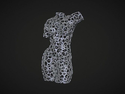 kadın gövde kafes Voronoi Kadın tel şekil baskı heykel anatomi mücevher kolye Hanım Manken 3d stl Sanat heykeller 3d print model - Mito3D