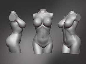 fêmea tronco corpo humano escultura personagem anatomia moda beleza estátua manequim mulher arte esculturas 3d print model - Mito3D