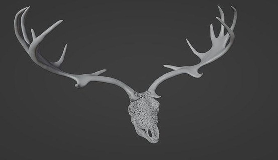 telkari geyik kafatası Boynuz kemikler anatomi kemik dekorasyon kafatasları metal monox Satürn Sanat heykeller dağ taramalar kopyalar 3d print model - Mito3D