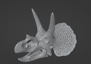 filigrana triceratops dinossauros crânio arte criatura dinossauro esqueleto esculturas 3d print model - Mito3D