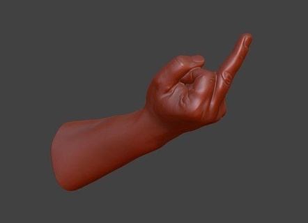 finger human hand thefinger middlefinger realistic anatomy body scan art scans replicas 3d print model - Mito3D