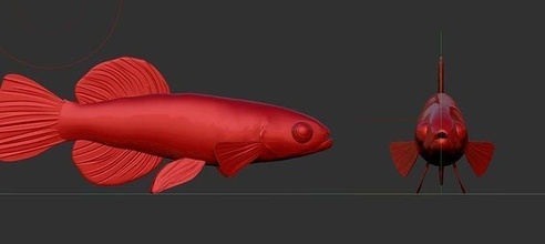 peixe 3d modelo natureza água mar rio pescaria Tubarão floresta aquário animal vida marinha embaixo agua coral barco jogos brinquedos 3d print model - Mito3D