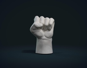 cazzotto mano palma braccio dita anatomia afferrare passatempo fai 3d print model - Mito3D