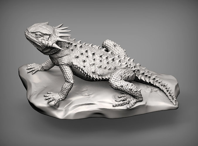 flat horned Kröte Eidechse Phrynosom Platyrhinos gehörnt Leguan Reptil kalt blutig Tier Haustier Amphibie Natur Kreatur Skulptur Statuette 3d drucken Skulpturen Kunst 3D print model - Mito3D