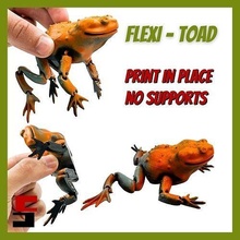 flexi toad frog articulated print-in-place no supports flexible print in place moving parts bendable hinged bending articulate flexy animal games toys 3d print model - Mito3D