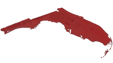 florida-relief-Karte Kunst florida Karte usa maps united Staaten die Erleichterung 3d Drucker andere 3d print model - Mito3D