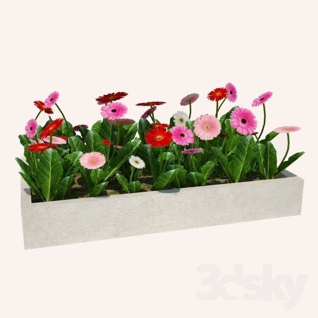 flor plantador flores panela plantas vaso ramalhete casa mobília floração plantar botão decoração lírio 3D print model - Mito3D