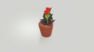 çiçek tencere 3d model bitki vazo yaprak doğa yeşil ev eşyaları ağaç manzara bahçe çalı botanik bağırmak ekici leafe yeşillik dış mekan saksı orman 3d print model - Mito3D