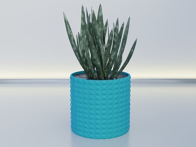 çiçek tencere ekici 11 kaktüs Yaprak sulu bitki dekorasyon deko çanak vazo aloe sıra Kulp destek örtüsü yeşil çalı sofra takımı ev dekor 3D print model - Mito3D