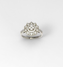 anillo flor la joyería de oro plata boda hojas 3dmodel el diamante natural piedras exclusivo jeweery gem joya las joyas los anillos cruz colgante 3d print model - Mito3D