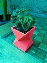 pot fleur Triangle flore bois planteur maison décor 3d print model - Mito3D