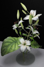 fleurs bijoux plantes le bouquet pétale de la fleur d'autres 3d print model - Mito3D