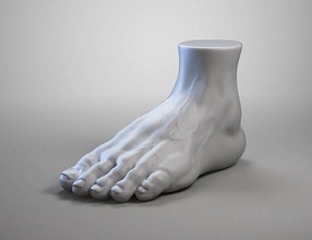 pé a02 3d impressão modelo anatomia corpo estatueta figura escultura miniaturas estatuetas personagem estátua homem humano referência basemesh arte esculturas pés macho 3d print model - Mito3D