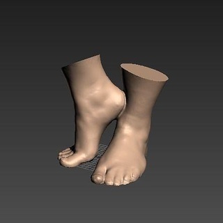 foot fetishes body woman women people girl female feet heel soles sole leg legs girls beautiful science biology 3d print model - Mito3D