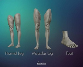 ayak bacak anatomi heykel spor şekil sanat heykeller karakter vücut kişi insan 3d print model - Mito3D