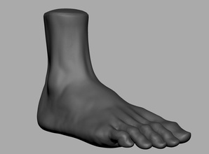 ayak yazdırılabilir zbrush ztl insan erkek anatomi obj karakter karakterler insanlar 3dprint sanat heykeller 3d print model - Mito3D