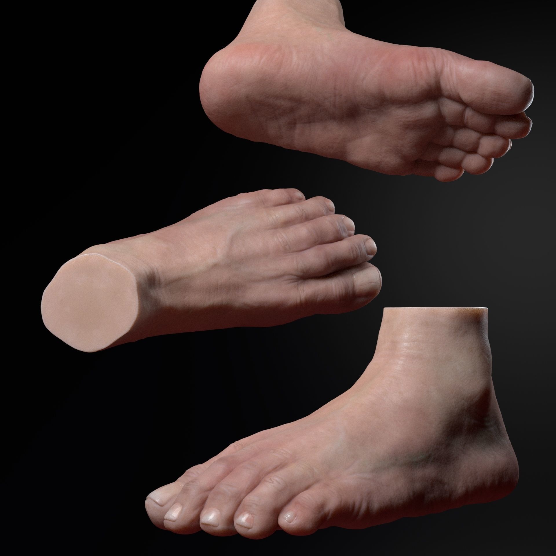 foot zbrush anatomy sculpt body human art 3D print model - Mito3D