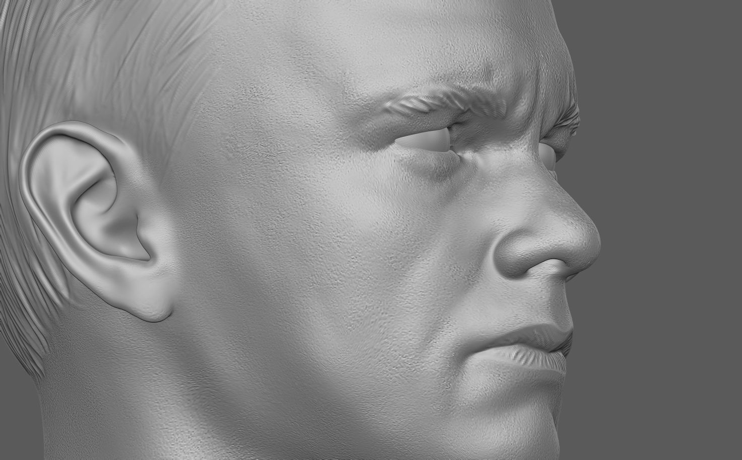 forrest grogner tête chaud jouets visage portrait art jeux sculptures 3D print model - Mito3D
