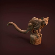 fossa 3d printing animal mongoose cat predator madagascar creature wildlife sculpture miniature collectible figure presupported supported cute realistic companion art sculptures 3d print model - Mito3D