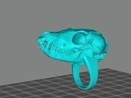 crânio raposa anel raposa gótico caveira foxskullring natureza animal esqueleto ciência fisiologia joalheria argolas 3d print model - Mito3D