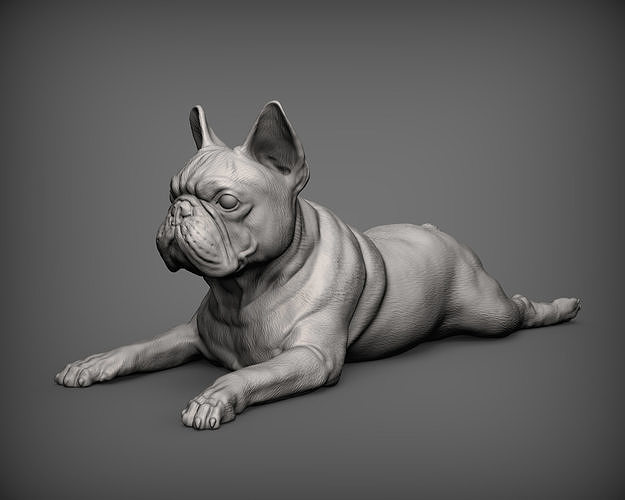 francês buldogue bulldog cão natureza mamífero animal escultura lembrança 3d impressão modelo esculpir esculturas estátua imprimível arte 3D print model - Mito3D