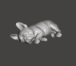 francês buldogue fofa dormindo 1 bulldog cão cachorro estimação canino escultura miniatura alto fofinho cachorros arte esculturas 3d print model - Mito3D