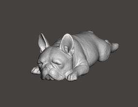 francês buldogue fofa dormindo 2 bulldog cão cachorro estimação canino alto animal miniatura escultura arte esculturas 3d print model - Mito3D