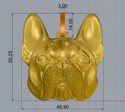 fransızca bulldog kolye frencgbulldog köpek gümüş alloe takı evcil hayvan hayvanlar aşk fransa fransız köpeği sevenler silver925 küçük pandantif iyi hediye 3d print model - Mito3D