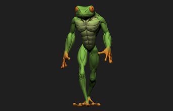froschmann frosch muskulös grün kröte farbig natur anatomie tierwelt körper tier konzept spiele spielzeuge 3d print model - Mito3D