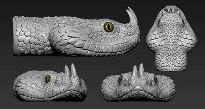 gaboon engerek yılan sürüngen hayvan yaban hayatı tehlike korkutucu anatomi ürpertici bilim atlatmak kertenkele sanat heykeller 3d print model - Mito3D