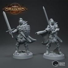 galahad - knight tabletop fantasy miniature 3dprinting 3dprinter hobby minis dnd character boardgames painting kingdom dungeonanddragons dndcharacter miniatures games toys board 3d print model - Mito3D