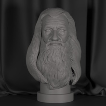 gandalf büst of harry çömlekçi sanat heykel adam yüzüklerin efendisi şekil heykeller 3d print model - Mito3D