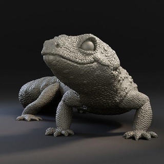 gecko eublépharis lézard animal sauvage faune reptile art sculptures 3d print model - Mito3D