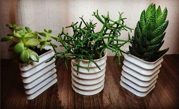 geometrik vazo bitkiler suculentas mini tencere sulu vasos stil robert bitki vazolar saksıları meyveler et yetiştiricileri iç dizayn dekorasyon sanat 3d print model - Mito3D