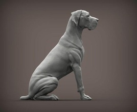 alemão cão natureza mamífero animal escultura estatueta lembrança 3d impressão modelo esculpir arte esculturas estátua imprimível 3d print model - Mito3D