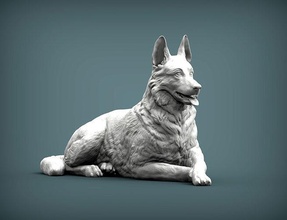 alemán pastor 3d impresión modelo perro naturaleza mamífero animal mascota escultura estatuilla recuerdo esculpir esculturas imprimible arte 3d print model - Mito3D