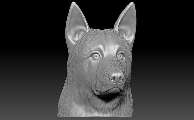tedesco pastore testa 3d stampa cane husky toro terrier pitbull francese bulldog d'oro retriever labrador shiba dane pug bassotto yorkshire barboncino pugile rottweiler arte sculture 3D print model - Mito3D