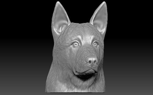 almanca çoban baş 3d baskı köpek husky boğa teriyer pitbull fransızca bulldog altın av köpeği labrador shiba dane boksör daksund yorkshire kaniş rottweiler sanat heykeller 3d print model - Mito3D