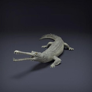 gavial 3d impression animal reptile alligator crocodile lézard créature réaliste compagnon l'eau dnd présupporté faune art sculptures 3d print model - Mito3D